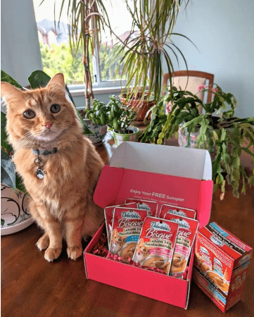 Peekage community image 7