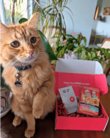 Peekage community image 10